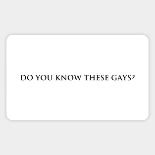 Do you know these Gays? (black text) Magnet